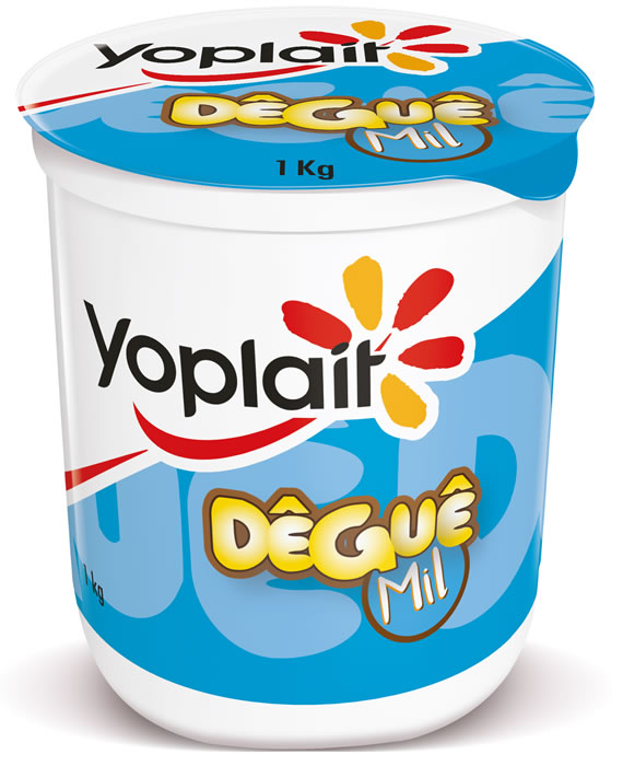 YOPLAIT DEGUE 1Kg